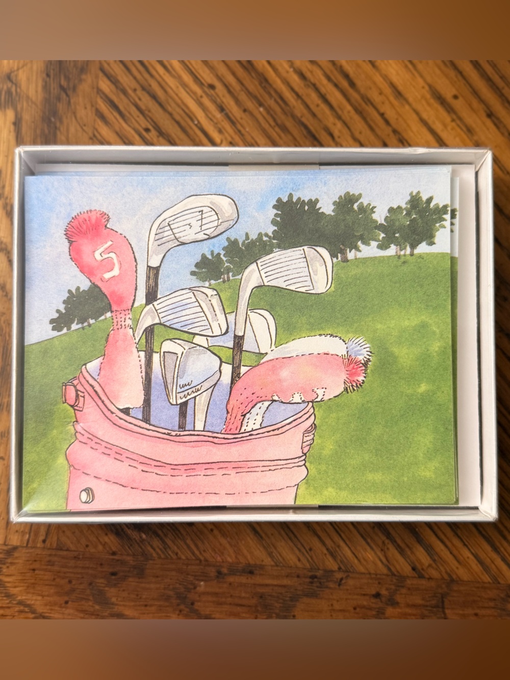Box of 10 Blank Note Cards & Envelopes Kristin Elliott Vintage Golfing, Girly